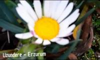 erzurum-uzundere-tanitim-filmi